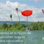 Article - Le stress et la façon de l'approcher avec la pleine conscience
