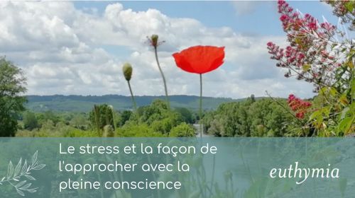 Article - Le stress et la façon de l'approcher avec la pleine conscience