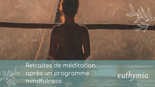 Article - Retraites de méditation après un programme mindfulness