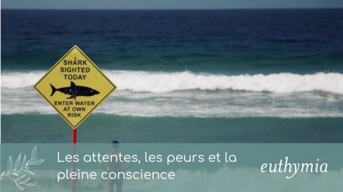 Article - Les attentes, les peurs et la pleine conscience