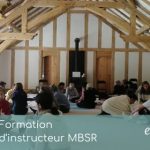Article - Formation d’instructeur MBSR