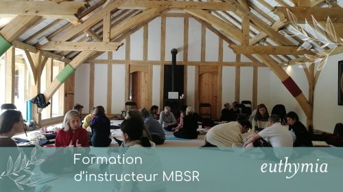 Article - Formation d’instructeur MBSR