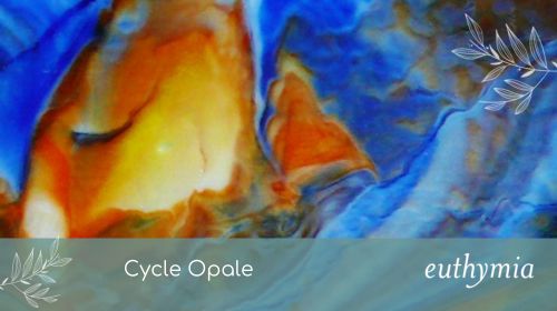 Article - Cycle Opale