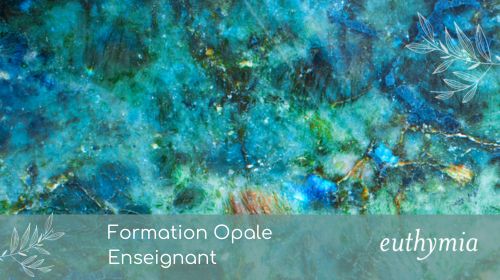 Article - Formation Opale Enseignant