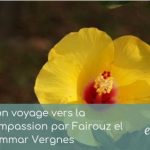 Article - Mon voyage vers la compassion par Fairouz el hammar Vergnes