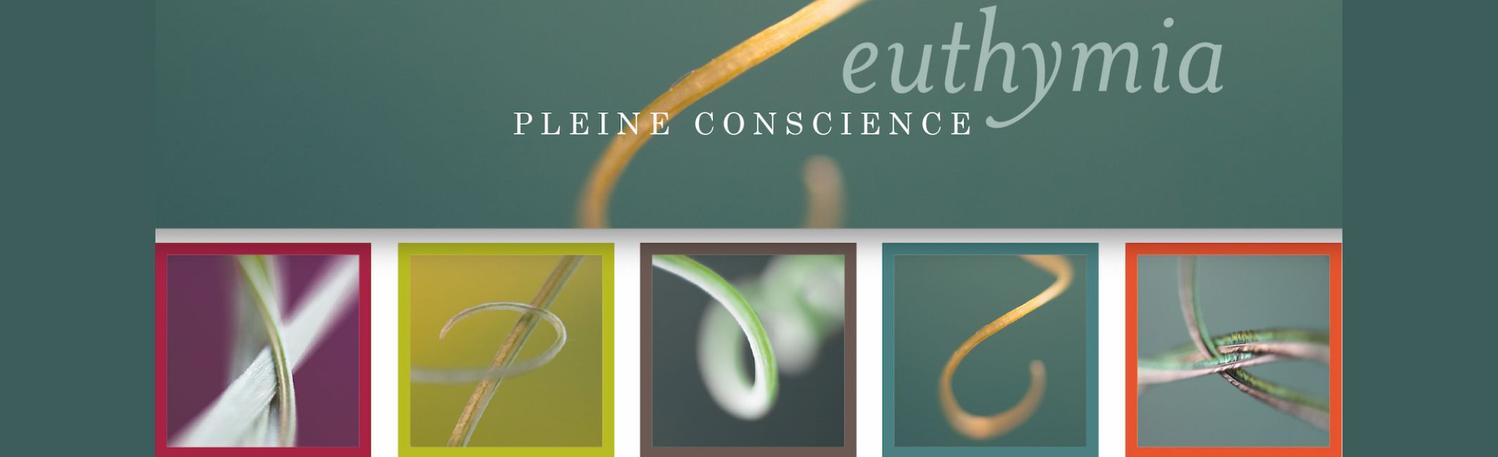 Règlement intérieur Euthymia