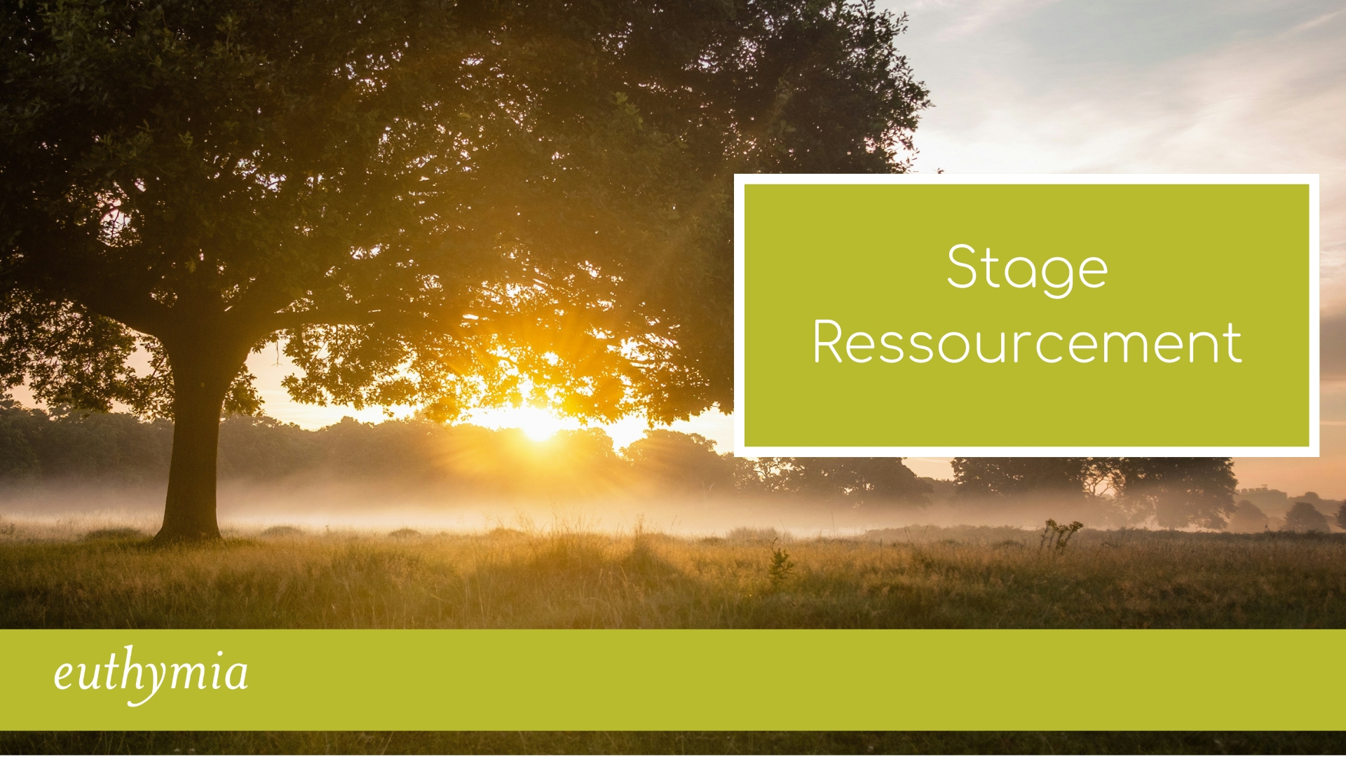 Retraite stage de 5 jours pour retrouver nos richesses intériereures par la pleine conscience et le qi qong. Guidé par Stéphane Offort