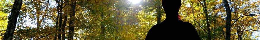 Retraites de pleine conscience et méditation silencieuse — retraites de 5 ou 10 jours et séjours mindfulness en pleine nature — Euthymia