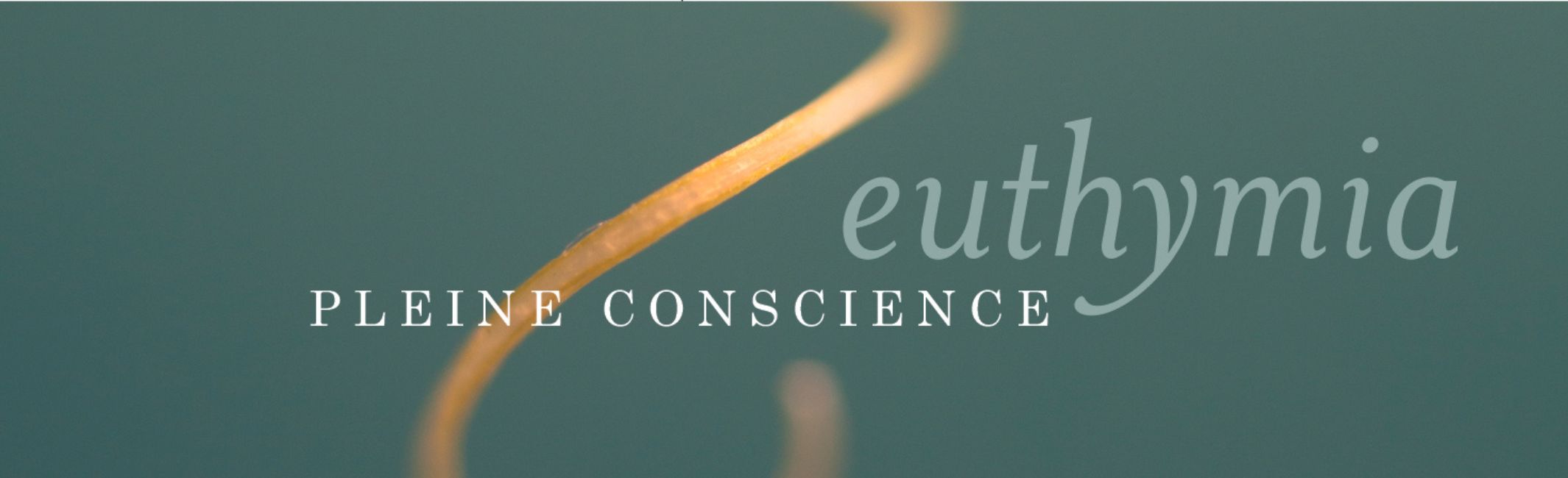 Agenda des formations et stages de pleine conscience Euthymia